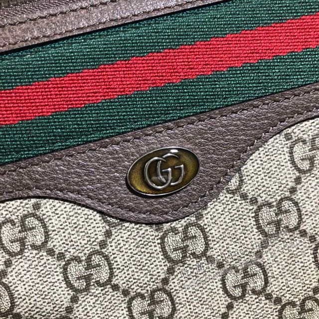 Gucci包 古馳手包 597619啡色 Gucci新款手拿包  gudj1152